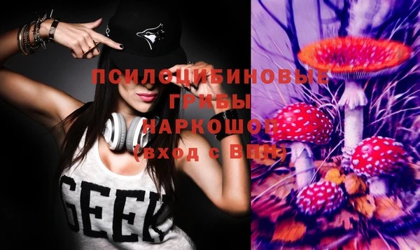 ГАЛЛЮЦИНОГЕННЫЕ ГРИБЫ Лихославль